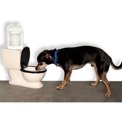 Click to get Toilet Dog Water Bowl