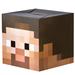 Minecraft: Steve Box Head Mask