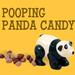 Pooping Panda Candy